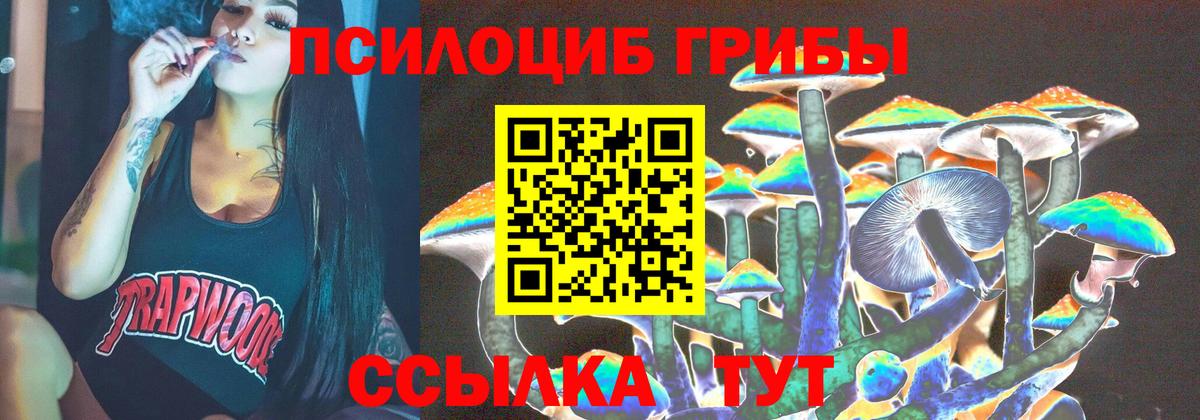 Псилоцибиновые грибы Psilocybine cubensis  Вход с VPN  Мирный 
